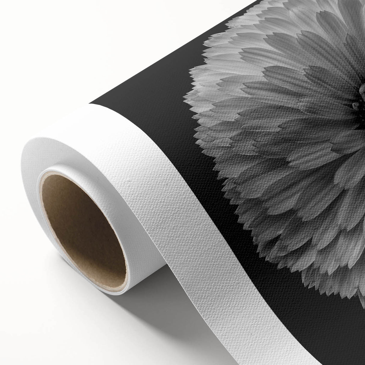Rolled canvas depicting a vibrant botanical dahlia design, showcasing rich colors and intricate floral details, perfect for enhancing home decor aesthetics.