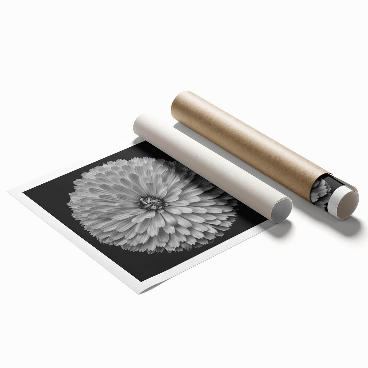 Vibrant botanical wall art showcasing a detailed dahlia design in vivid colors, ideal for home decor. Perfect as a rolled print for easy framing.