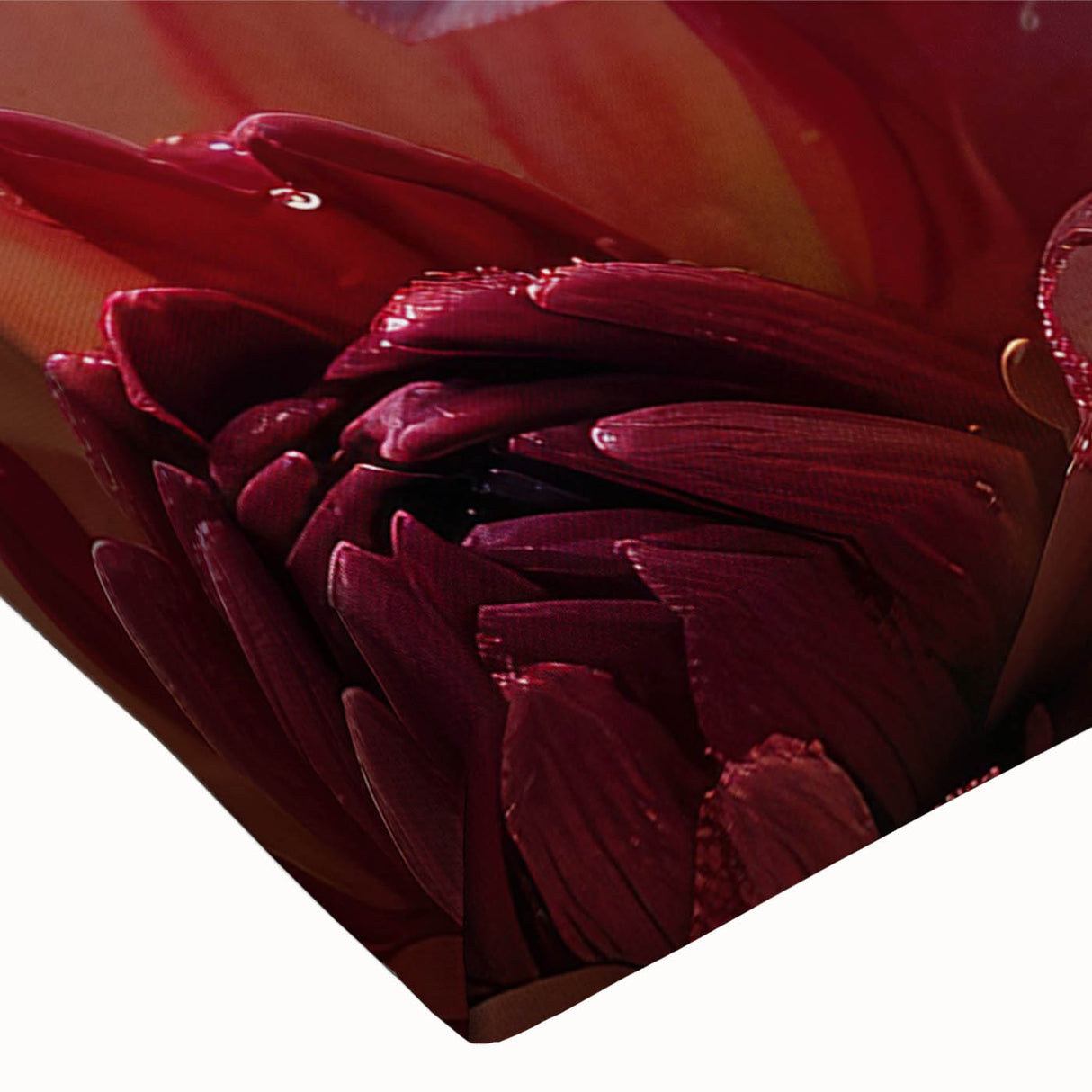 Close-up of a vibrant botanical dahlia design on stretched canvas, showcasing intricate petal details and rich colors, perfect for home decor accents. This artwork adds a touch of nature-inspired elegance to any space, making it an ideal choice for floral enthusiasts and interior design lovers.