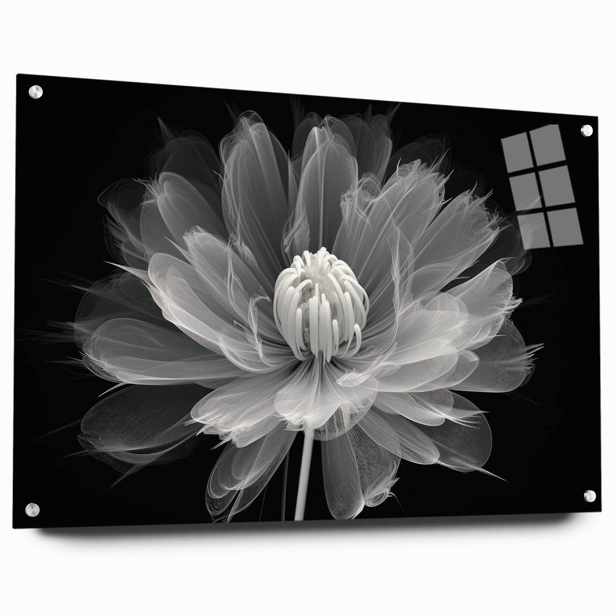 Side view of a botanical dahlia design wall art piece, featuring vibrant colors and an acrylic glass finish, elegantly displayed with decorative pins. Perfect for enhancing home decor with floral elegance.