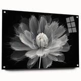 Side view of a botanical dahlia design wall art piece, featuring vibrant colors and an acrylic glass finish, elegantly displayed with decorative pins. Perfect for enhancing home decor with floral elegance.