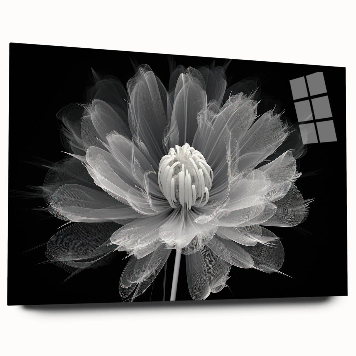 Botanical dahlia wall art collection displayed in acrylic glass, showcasing vibrant colors and intricate floral designs, perfect for home decor.