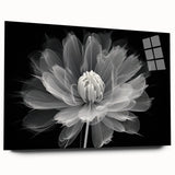 Botanical dahlia wall art collection displayed in acrylic glass, showcasing vibrant colors and intricate floral designs, perfect for home decor.