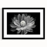 Black-framed wall art showcasing a botanical dahlia design, featuring vibrant colors and intricate details, ideal for home decor and floral enthusiasts.