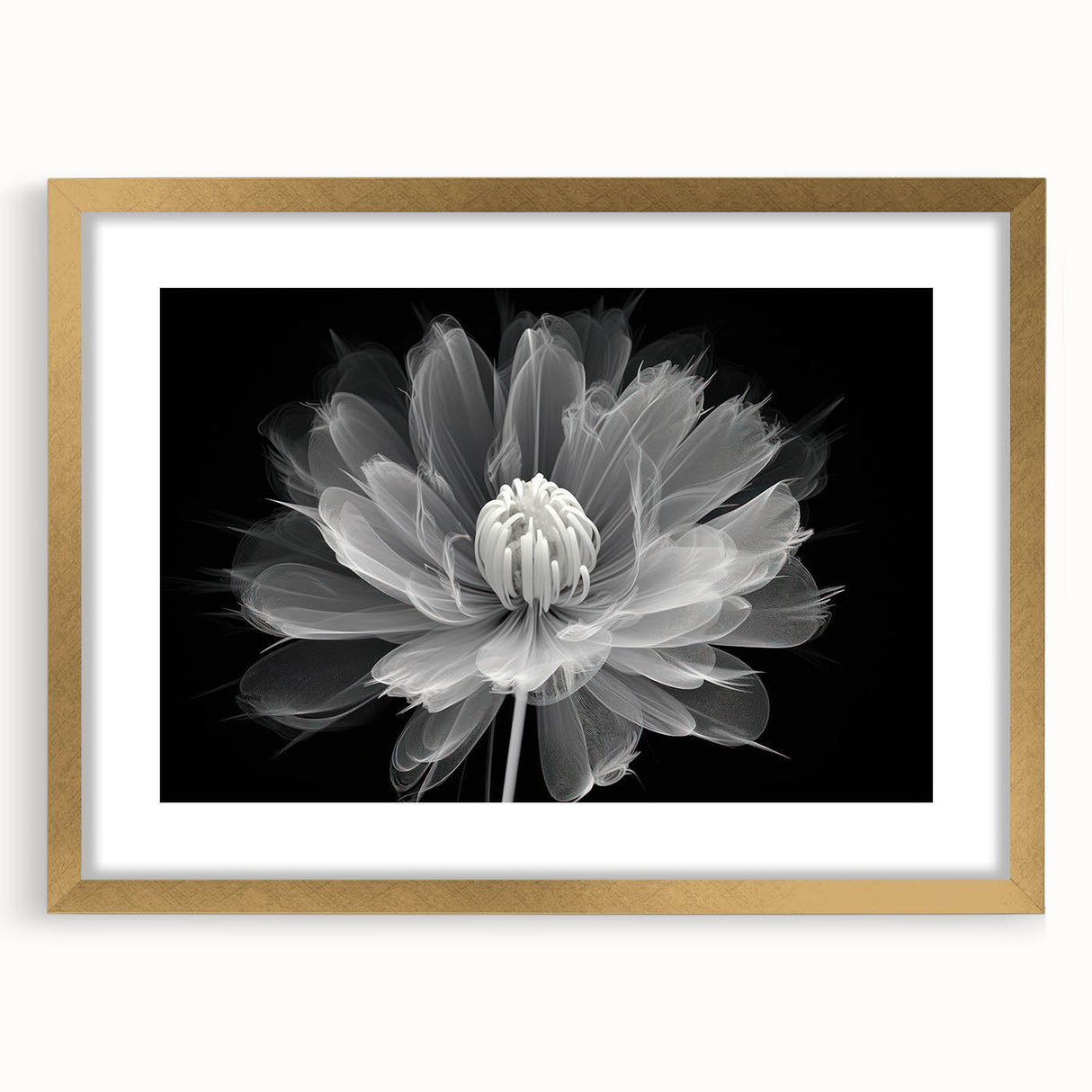 Botanical dahlia wall art collection featuring elegant gold frame and mat, showcasing vibrant floral design, perfect for home decor. Ideal for nature lovers.