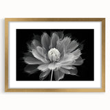 Botanical dahlia wall art collection featuring elegant gold frame and mat, showcasing vibrant floral design, perfect for home decor. Ideal for nature lovers.