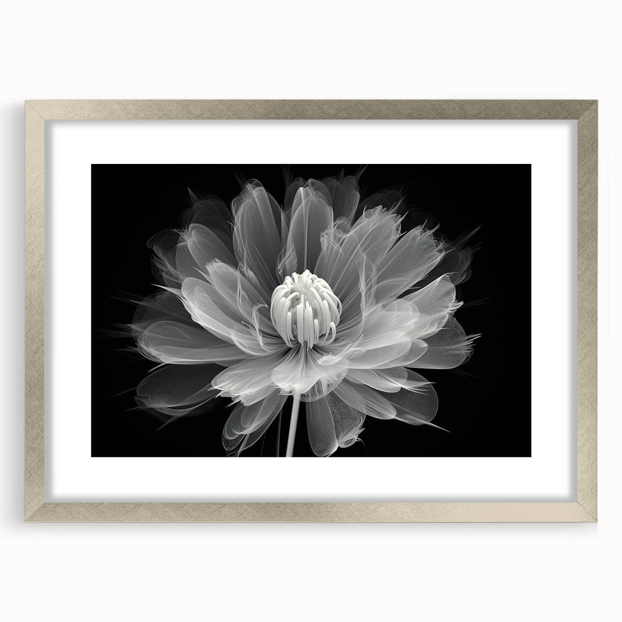 Botanical dahlia wall art design framed with a silver mat, showcasing vibrant flower illustrations perfect for home decor, adding elegance to any room.
