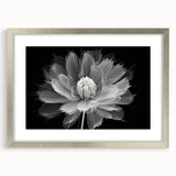 Botanical dahlia wall art design framed with a silver mat, showcasing vibrant flower illustrations perfect for home decor, adding elegance to any room.