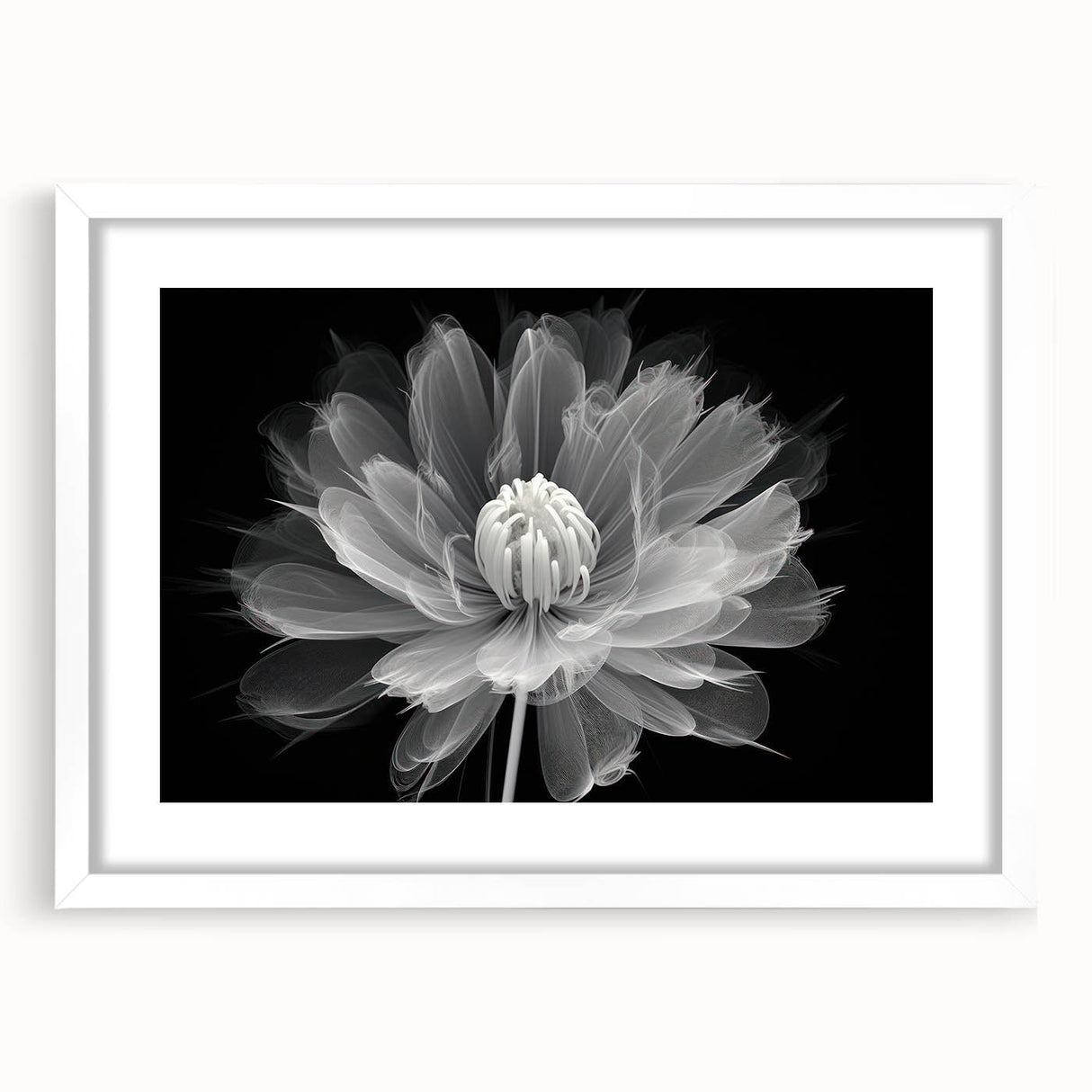 Elegant botanical wall art featuring a dahlia design in a white frame with a mat, ideal for home decor. Perfect for adding a touch of nature to any room.