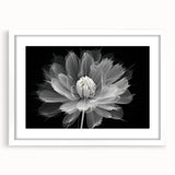 Elegant botanical wall art featuring a dahlia design in a white frame with a mat, ideal for home decor. Perfect for adding a touch of nature to any room.
