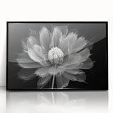 Framed black wall art featuring a vibrant botanical dahlia design, showcasing intricate floral details and rich colors, ideal for home decor enhancement.