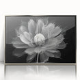 Framed wall art showcasing a vibrant botanical dahlia design in rich colors, set in a sleek silver-acrylic frame, ideal for modern home decor.