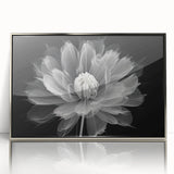 Framed wall art showcasing a vibrant botanical dahlia design in rich colors, set in a sleek silver-acrylic frame, ideal for modern home decor.