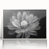 Framed acrylic wall art showcasing a vibrant botanical dahlia design, featuring a white border and a modern aesthetic, perfect for enhancing home decor.