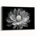 Framed canvas artwork showcasing a botanical dahlia design in vibrant colors, featuring a black frame and side view, perfect for enhancing home decor.