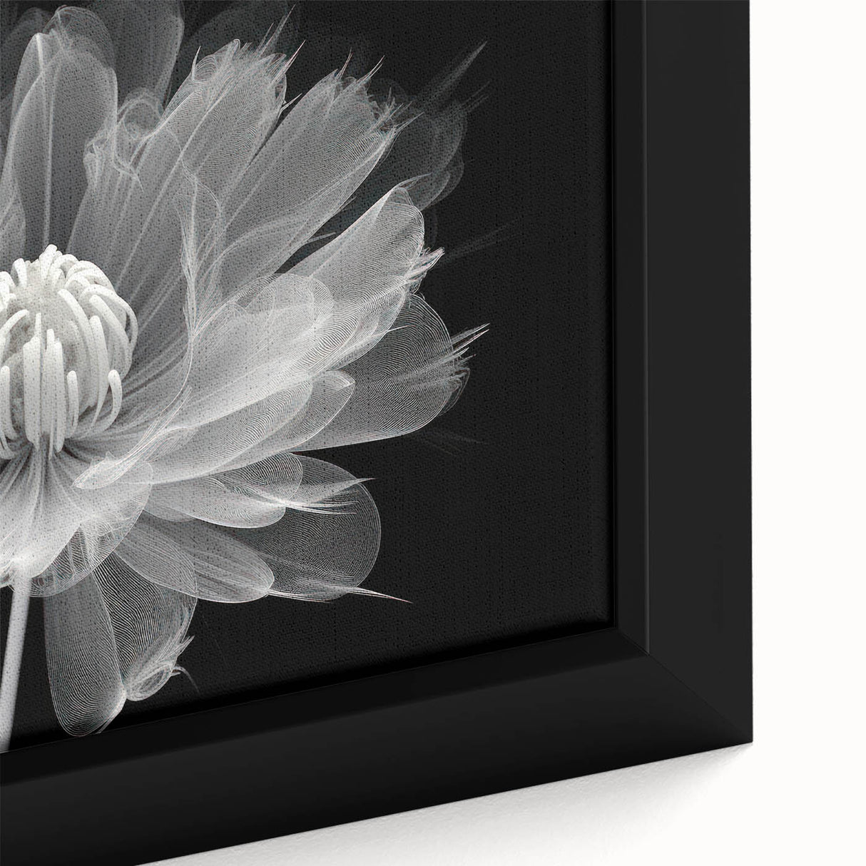 Close-up of a framed canvas wall art featuring a botanical dahlia design, showcasing vibrant pink and yellow petals against a soft background, perfect for home decor.