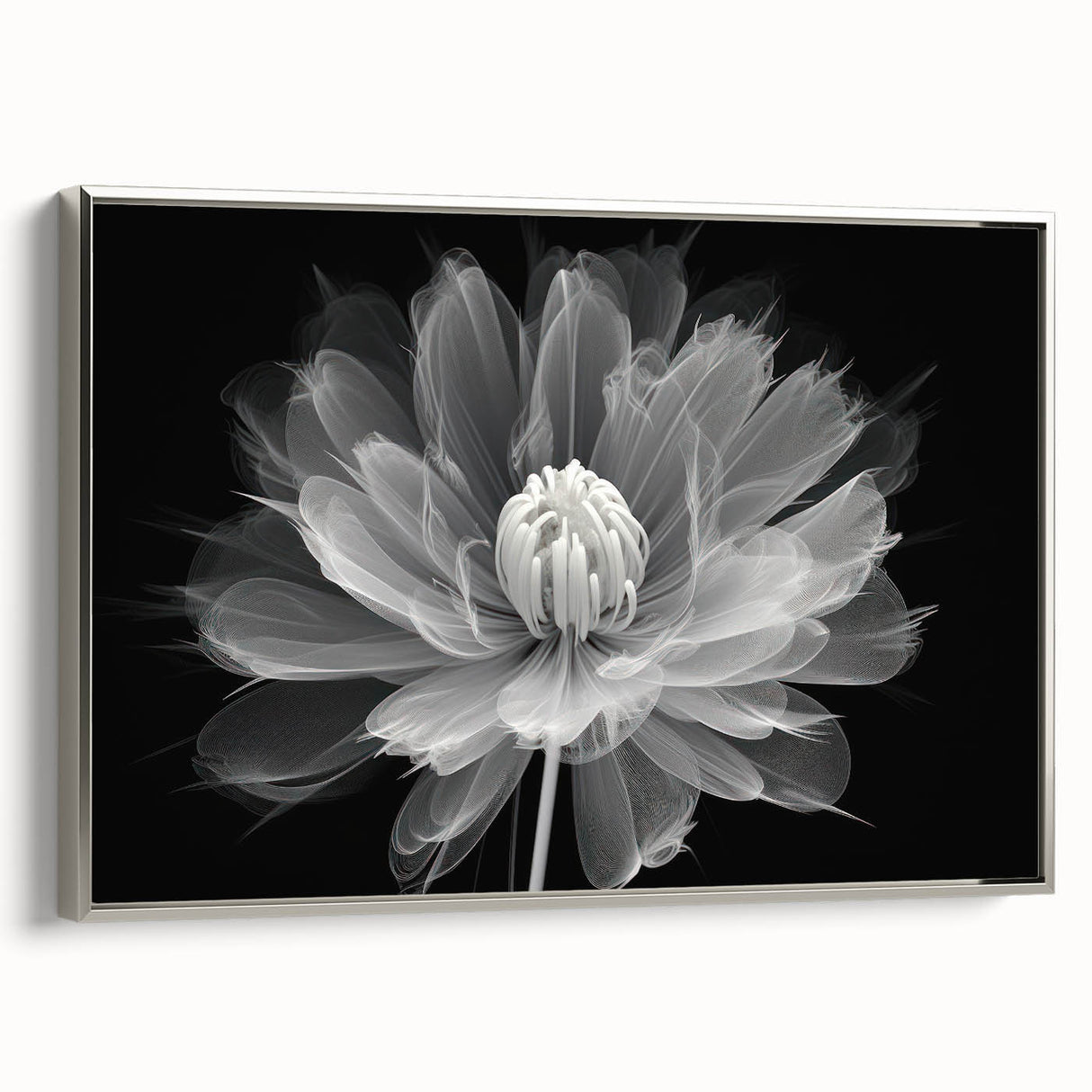 Framed canvas wall art showcasing a botanical dahlia design in vibrant colors, featuring a sleek silver frame and elegant side view, perfect for home decor.