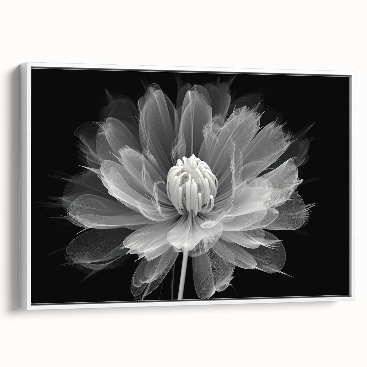 Framed wall art featuring a botanical dahlia design in vibrant colors, showcased in a sleek white frame, perfect for home decor. Ideal for floral enthusiasts and modern interiors.