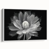 Framed wall art featuring a botanical dahlia design in vibrant colors, showcased in a sleek white frame, perfect for home decor. Ideal for floral enthusiasts and modern interiors.