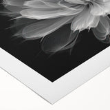 Vibrant botanical dahlia design on rolled canvas wall art, showcasing intricate floral details in bold colors, ideal for home decor enthusiasts seeking nature-inspired aesthetics.