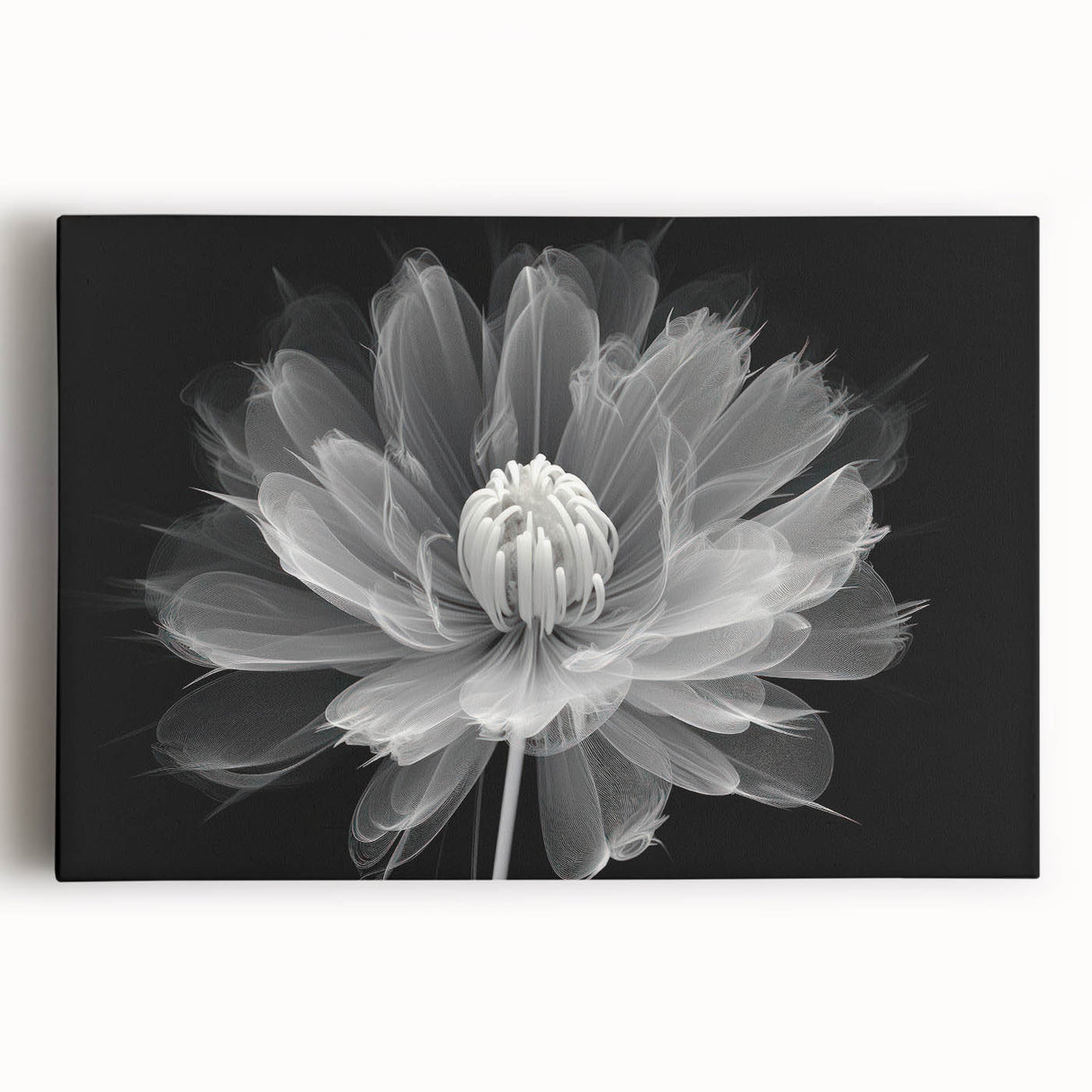 Vibrant botanical dahlia wall art on stretched canvas, showcasing intricate flower details and rich colors, perfect for enhancing home decor and adding a natural touch.