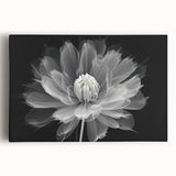 Vibrant botanical dahlia wall art on stretched canvas, showcasing intricate flower details and rich colors, perfect for enhancing home decor and adding a natural touch.