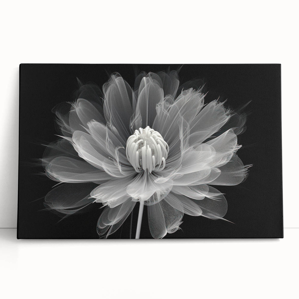 Stretched canvas wall art featuring a vibrant botanical dahlia design, showcasing rich colors and intricate floral details, perfect for home décor enhancement.