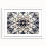 Botanical dahlia wall art design featuring intricate floral details in soft pastel colors, framed with a white mat, perfect for home decor or gifting.