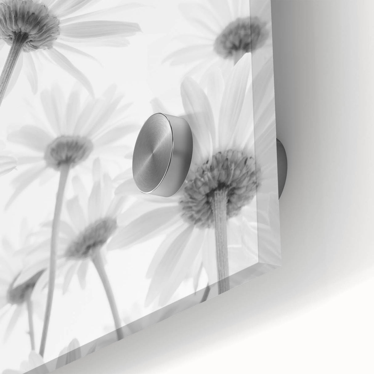 Close-up of a vibrant daisy wall art print featuring intricate botanical details, showcasing bright yellow petals against a soft background, perfect for home decor.