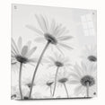 Acrylic wall art featuring a vibrant botanical daisy design, showcasing colorful flowers against a clear background. Ideal for home decor or office spaces.