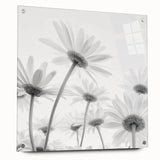 Acrylic wall art featuring a vibrant botanical daisy design, showcasing colorful flowers against a clear background. Ideal for home decor or office spaces.