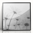 Framed botanical wall art featuring a vibrant daisy design, showcased in a sleek black frame with acrylic front, perfect for modern home decor.