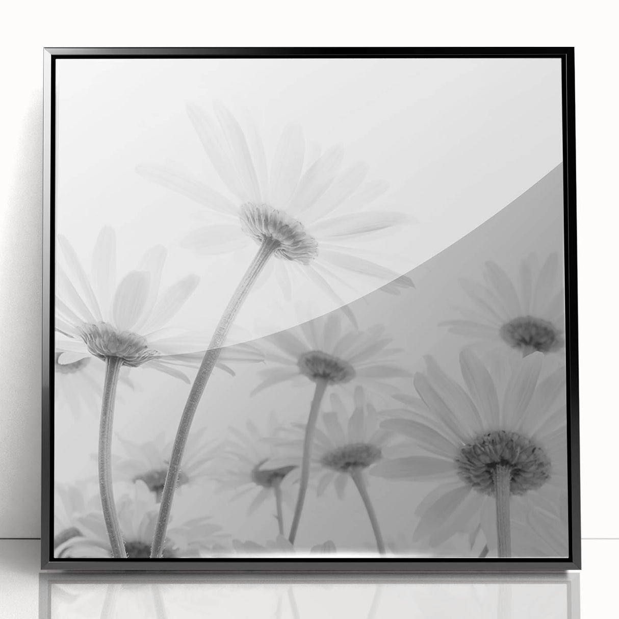 Framed botanical wall art featuring a vibrant daisy design, showcased in a sleek black frame with acrylic front, perfect for modern home decor.