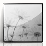 Framed botanical wall art featuring a vibrant daisy design, showcased in a sleek black frame with acrylic front, perfect for modern home decor.
