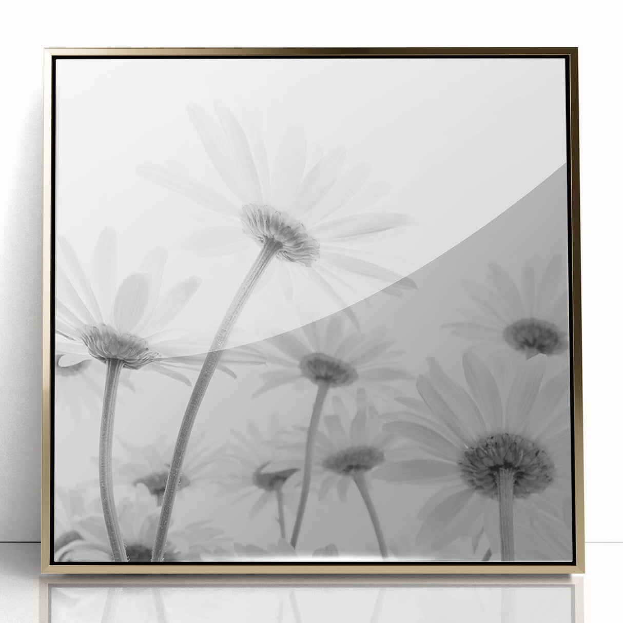 Framed botanical wall art featuring a daisy design with a gold-accented acrylic front, showcasing vibrant colors and intricate floral details, perfect for home decor.