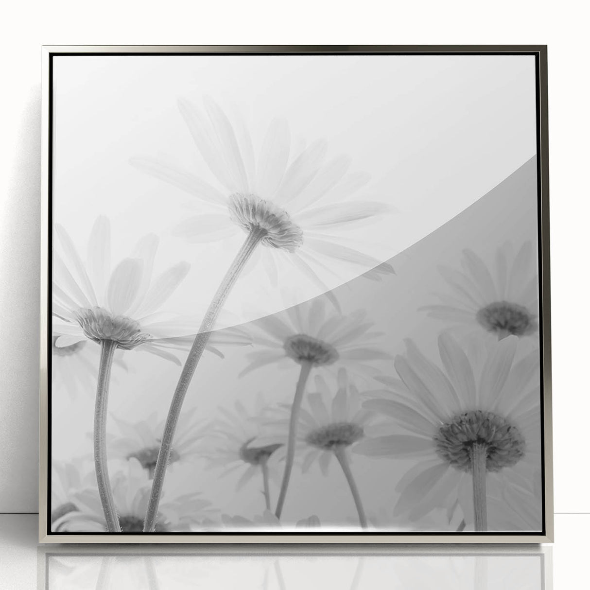 Framed wall art featuring a botanical daisy design on a silver acrylic background, showcasing vibrant floral details and a modern aesthetic, perfect for home decor.