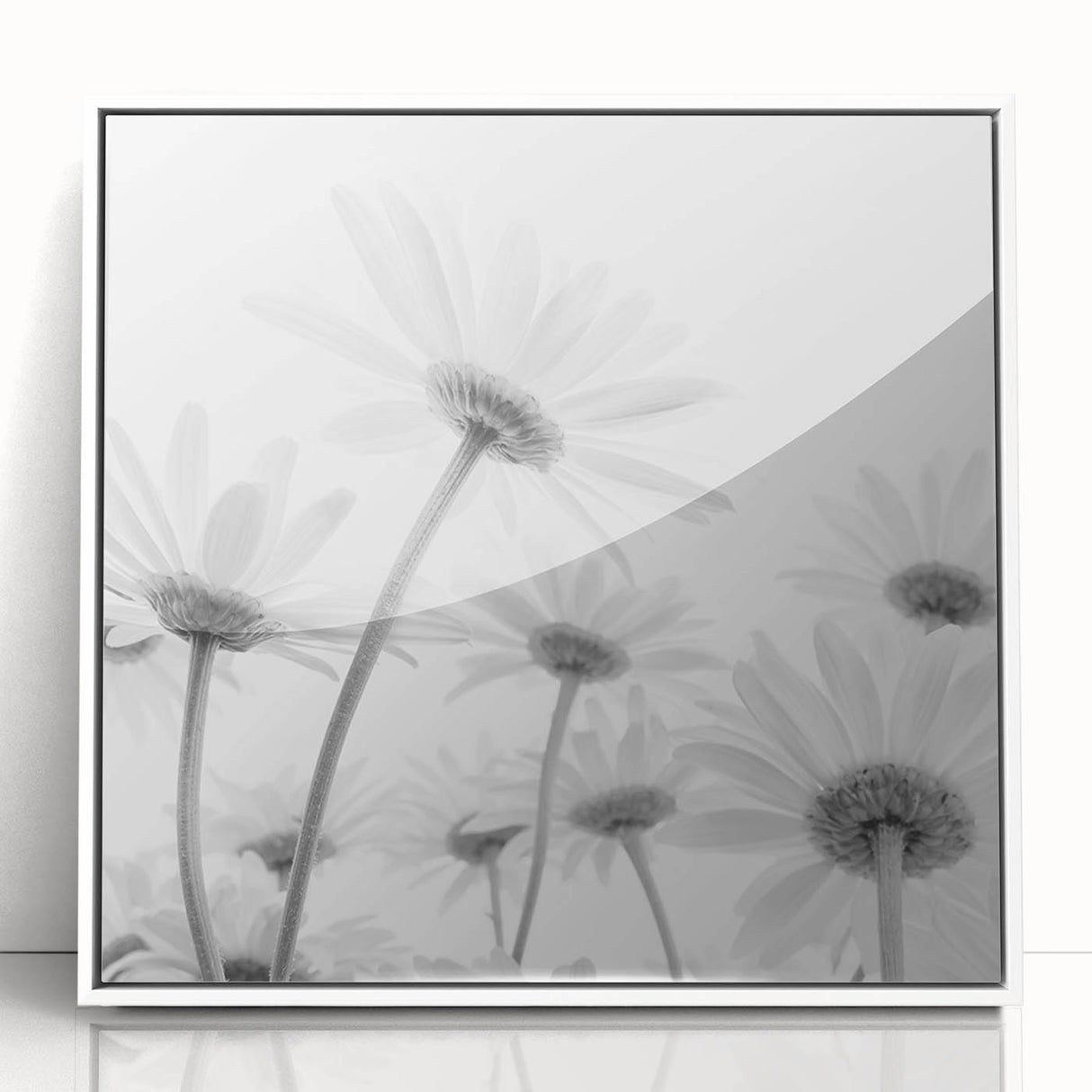 Framed wall art showcasing a botanical daisy design on a white background, featuring vibrant colors and intricate details, perfect for home decor.