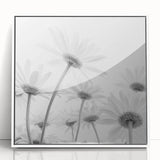 Framed wall art showcasing a botanical daisy design on a white background, featuring vibrant colors and intricate details, perfect for home decor.