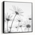 Framed canvas wall art featuring a botanical daisy design, showcasing intricate floral details and a sleek black frame, perfect for modern decor.