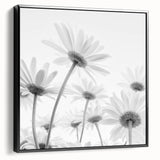 Framed canvas wall art featuring a botanical daisy design, showcasing intricate floral details and a sleek black frame, perfect for modern decor.