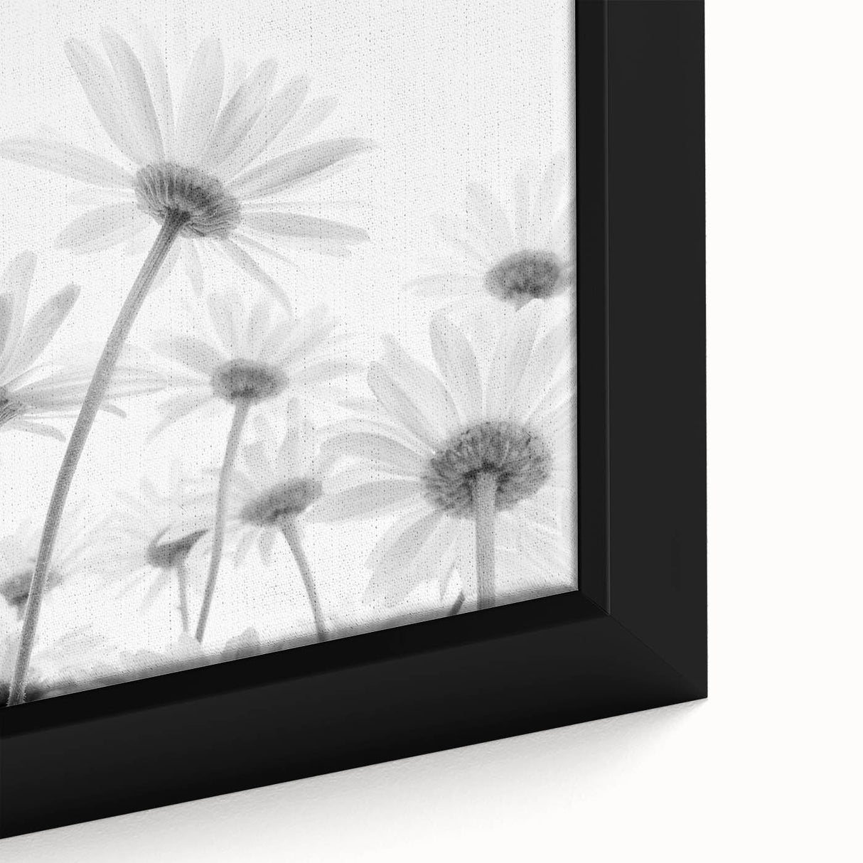 Close-up of a framed canvas wall art featuring a botanical daisy design, showcasing intricate floral details and vibrant colors, perfect for home decor.