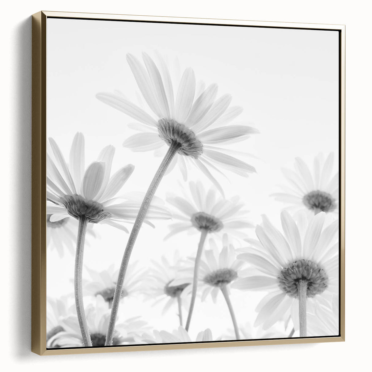Framed botanical wall art featuring a delicate daisy design in silver and gold tones, perfect for adding a touch of nature-inspired elegance to home décor.