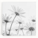 Stretched canvas wall art featuring a botanical daisy design with vibrant colors, ideal for home decor. Perfect for adding a touch of nature to any room.