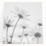 Botanical daisy wall art design on stretched canvas, showcasing vibrant yellow and white flowers against a soft blue background, perfect for home decor.