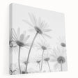 Stretched canvas wall art showcasing a vibrant botanical design of daisies in soft pastel colors, perfect for home decor. Side view highlights the canvas texture and framing quality.