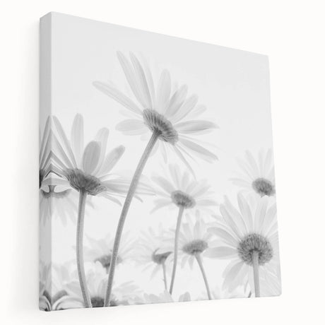 Stretched canvas wall art showcasing a vibrant botanical design of daisies in soft pastel colors, perfect for home decor. Side view highlights the canvas texture and framing quality.