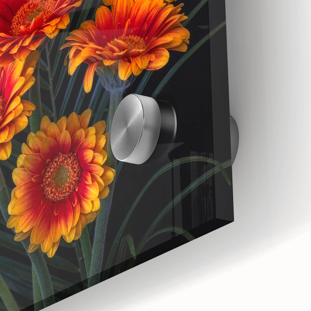 Close-up of a vibrant botanical wall art piece featuring a delicate daisy design on acrylic glass, showcasing intricate details and vivid colors, perfect for home decor.