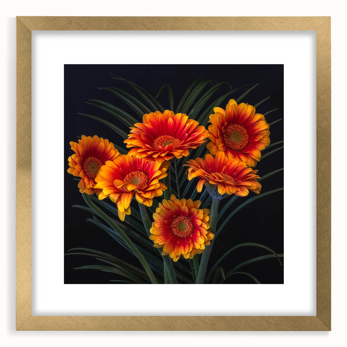 Botanical daisy wall art featuring a gold-framed design with a white mat, showcasing delicate floral details and elegant aesthetics for home decor.