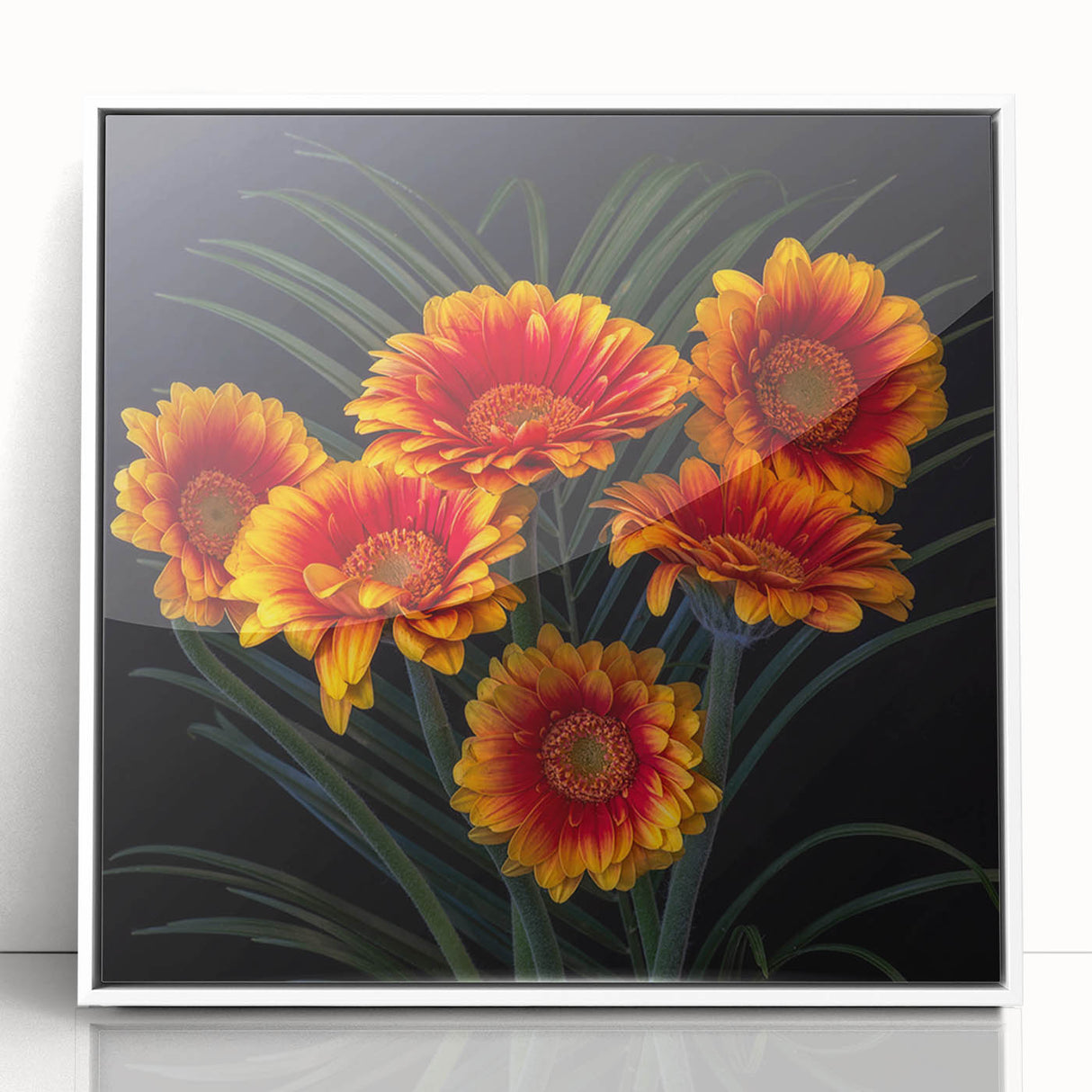 Framed wall art featuring a botanical daisy design with vibrant colors, set against a white background, ideal for home decor and floral enthusiasts.