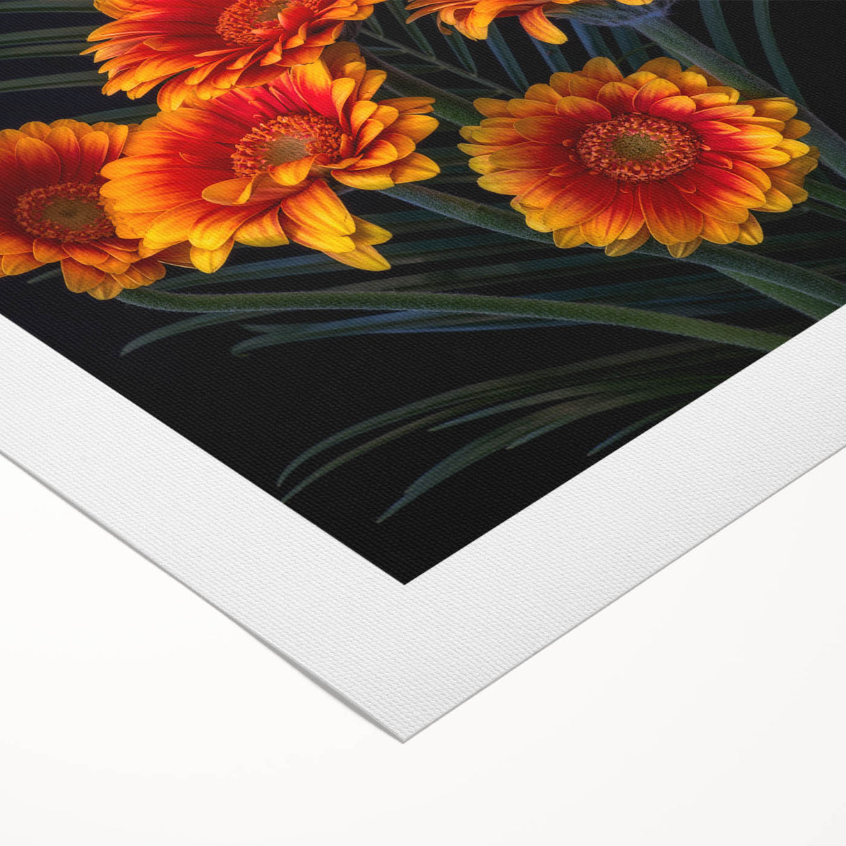 Botanical wall art featuring a vibrant daisy design on rolled canvas, showcasing intricate details and bright colors, perfect for home decor enhancement.